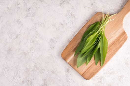Fresh wild garlic leaves on a textured background, empty copy space for text