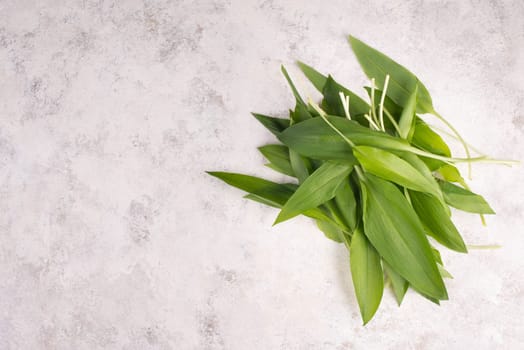 Fresh wild garlic leaves on a textured background, empty copy space for text