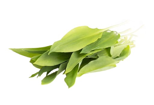 Fresh wild garlic leaves on a textured background, empty copy space for text