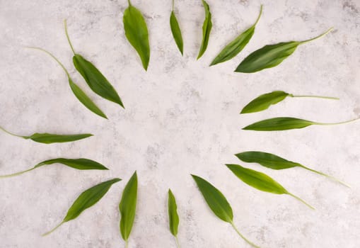 Fresh wild garlic leaves on a textured background, empty copy space for text