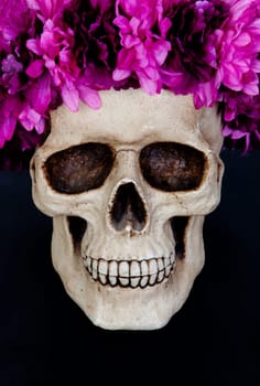Skull with a wreath of pink flower isolated on a black background