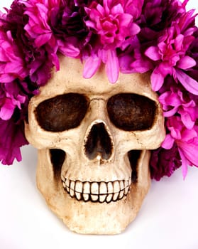 Skull with a wreath of pink flower isolated on a white background