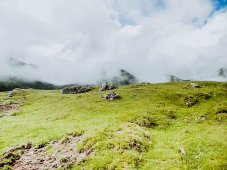 panoramic image of mysterious green misty fog pine tree forest and mountains . Bucegi Mountains Romania Spring Day .