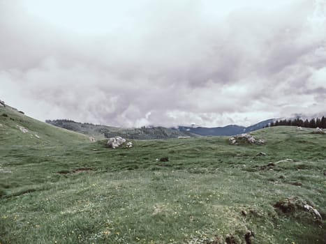 panoramic image of mysterious green misty fog pine tree forest and mountains . Bucegi Mountains Romania Spring Day .