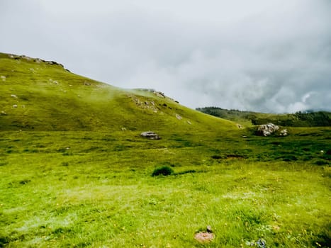 panoramic image of mysterious green misty fog pine tree forest and mountains . Bucegi Mountains Romania Spring Day .