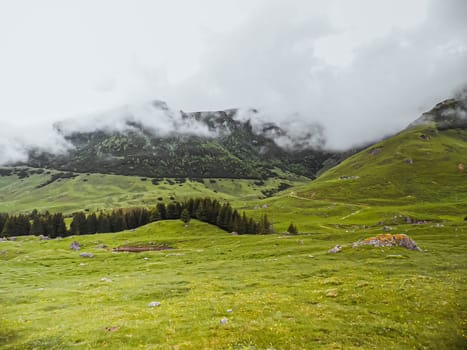 Panoramic image of mysterious green misty fog pine tree forest and mountains. Bucegi Mountains Romania Spring Day.