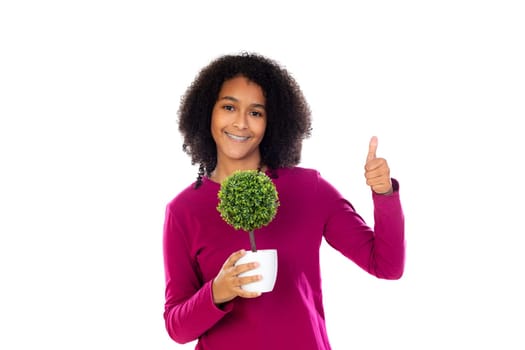 Teenager girl with afro hair wearing pink sweater isolated on a white background