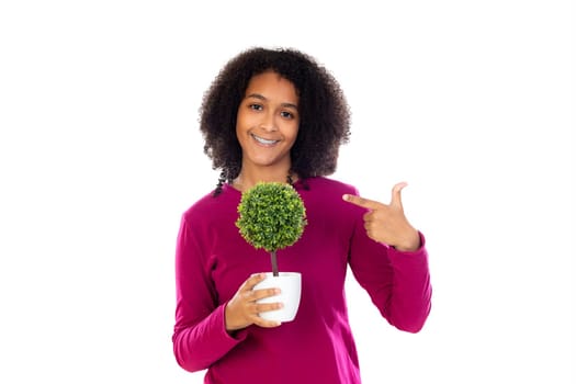 Teenager girl with afro hair wearing pink sweater isolated on a white background