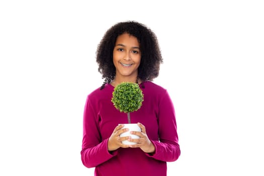 Teenager girl with afro hair wearing pink sweater isolated on a white background
