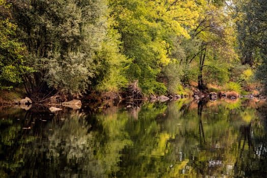 The river with a quiet current and trees reflected in it
