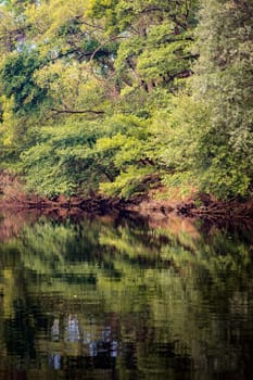 The river with a quiet current and trees reflected in it