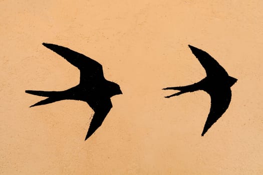 Silhouettes of two swallows on a orange background