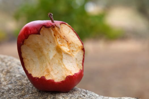 Bitten red apple on a stone in the field