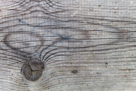 Old wood worn for use as wallpaper
