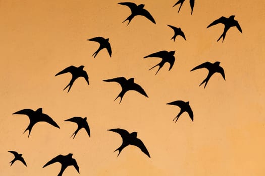 Silhouettes of many swallows on a orange background