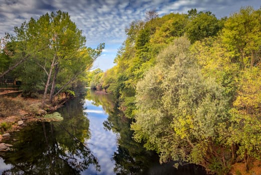 The river with a quiet current and trees reflected in it