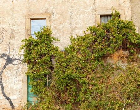 Ruined houses in the middle of the field