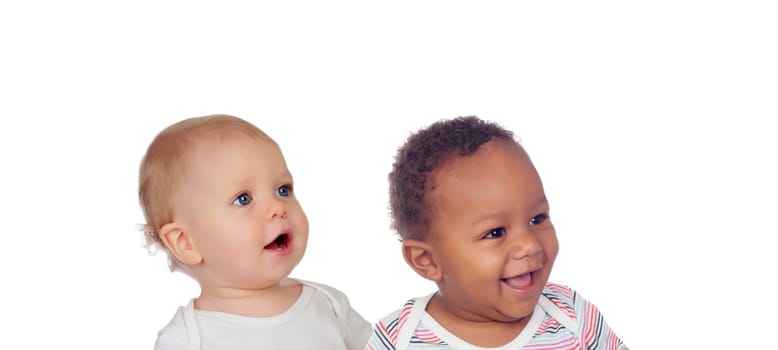 Cute babies isolated on a white background