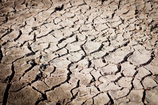 Earth cracked by drought. Symptoms of global warming