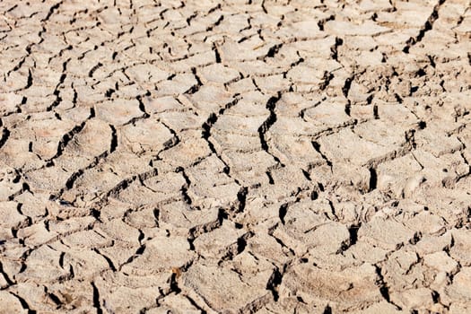 Earth cracked by drought. Symptoms of global warming