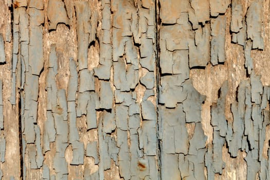 Wallpaper weathered wood with grey paint