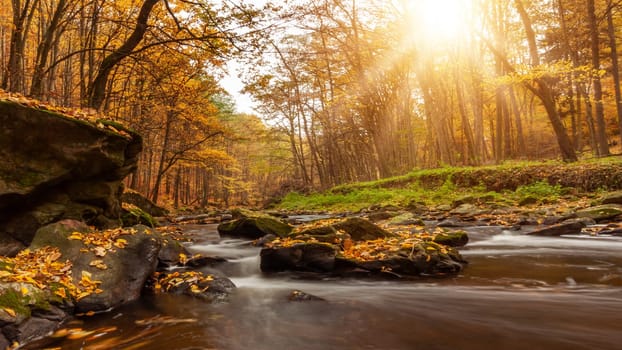 Autumn forest river creek view. Creek in autumn forest sunset. Autumn water in forest. Czech Republic