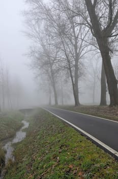 foreshortening of narrow road near a ditch in winter countryside, shot in foggy light