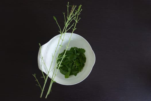 Fresh basil leaves on black background