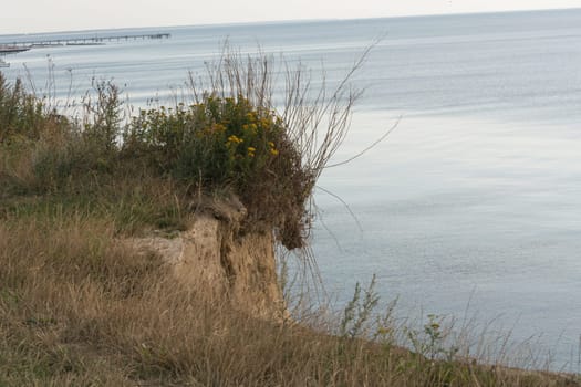 Steep coast on the Baltic Sea near Ahrenshoop