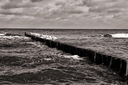 Mecklenburg Baltic Sea coast, Kühlungsborn