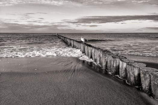 Mecklenburg Baltic Sea coast, Kühlungsborn