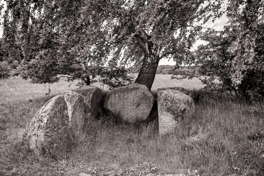 stone tomb under birch, island of Ruegen