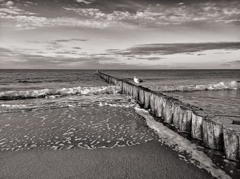 Mecklenburg Baltic Sea coast, Kühlungsborn