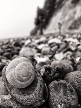 Chalk coast in the Jasmund National Park, Ruegen island