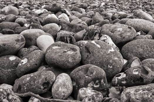 Chalk coast in the Jasmund National Park, Ruegen island