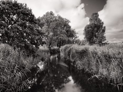 Ruegen island, Mönchgut landscape near Lobbe