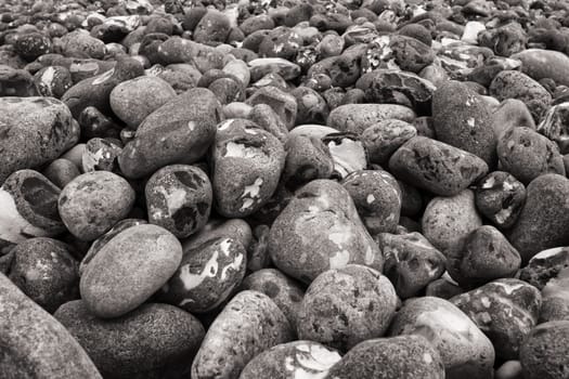 Chalk coast in the Jasmund National Park, Ruegen island