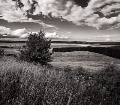 Mönchguter Boddenlandschaft bei Groß Zicker, Insel Rügen am Greifswalder Bodden