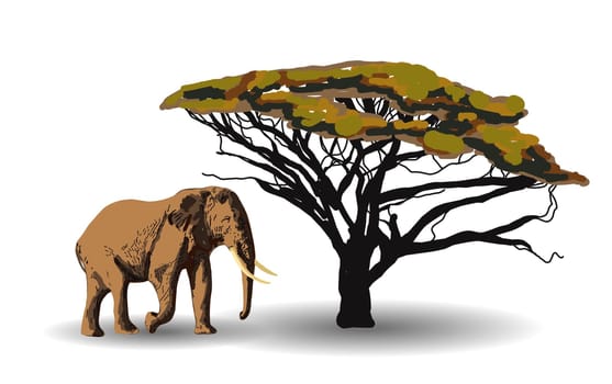 ETHNIC TREND. PAINTING IN AFRICAN STYLE. Elephant in the savannah. African animal isolated on white background. Vector illustration.