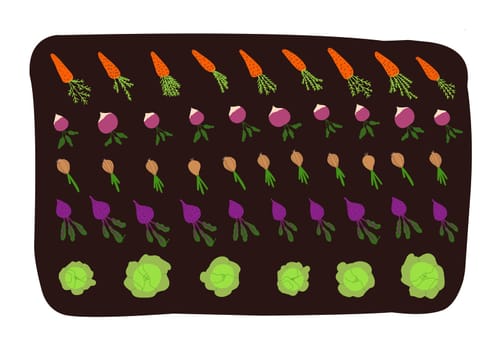 ecological vegetables. microgreens. Healthy and wholesome food. DIY growing. Home farm. Home garden. A vegetable garden on the windowsill.