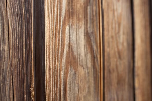 Tongue and groove pine wood wall. Dark knotted and weathered look. Selective focus