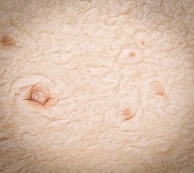 The Tortilla Wrap Bread.Close up texture. Close up