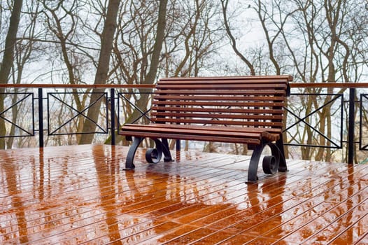 Empty bench in the rain at a park. Kiev, Ukraine