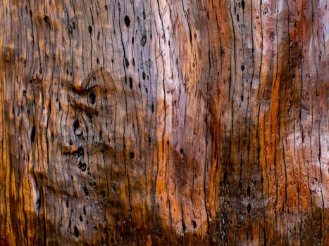 Brown wood texture. Abstract for background, empty template