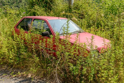 car wreck overwhelmed by vegetation near dismissed mountain road, shot in bright summer light at Scalve canyon, Colere, Bergamo, Orobie, Lombardy, Italy.