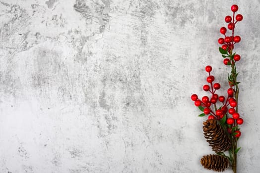 Background a branch with berries and cones on a textured plastered wall. For product demonstrations, free space, layout, mockup, perspective board, background board.