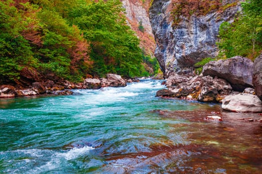 beautiful landscape, nature. forest mountain and blue stream, beauty nature scenery view background.