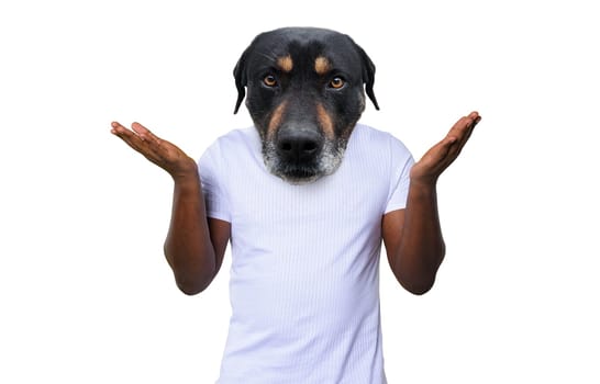 Person with head of a dog is consused about something.