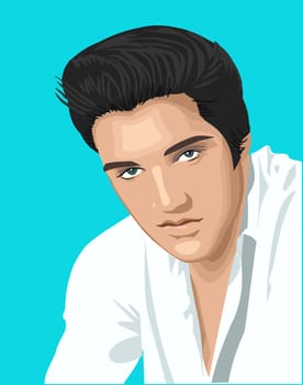 elvis presley singer king celebrity illustration