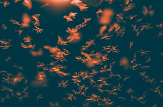 Abstract, creative motion blur background of flying insects in the night.